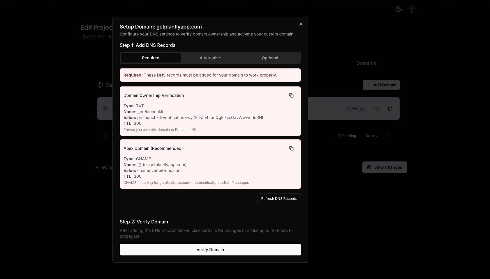 Custom Domains demo